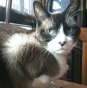 Meet your Posher, Marlene